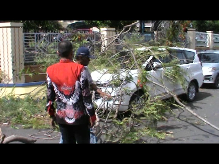 Akibat Angin Kencang, Pohon Tumbang Timpa Mobil Pengunjung Pengadilan