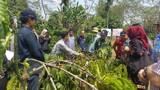Pemprov Lampung Tinjau Lokasi Wisata Kopi