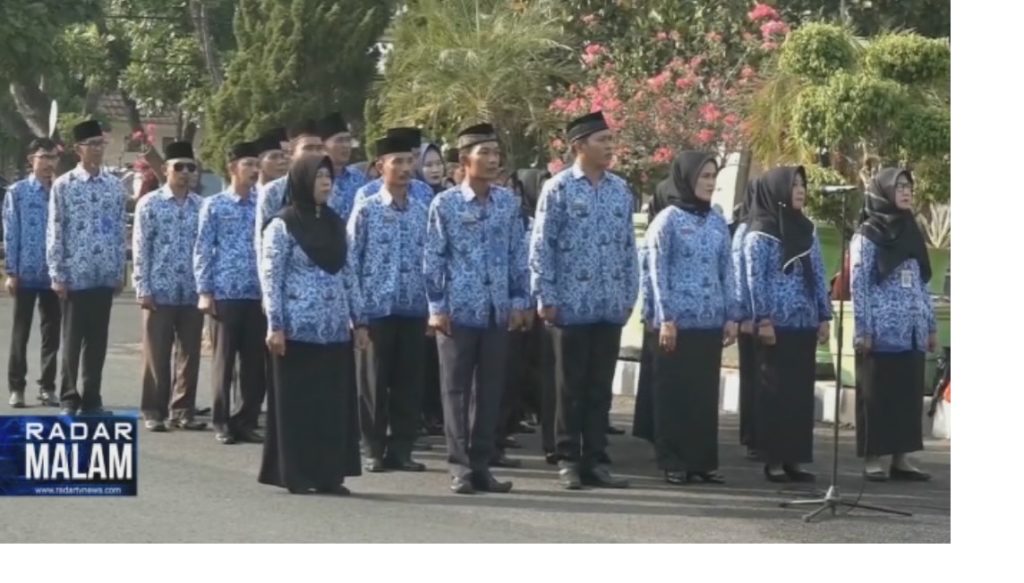 Kuota CPNS Daerah Hanya 59 Formasi radartvnews Portal